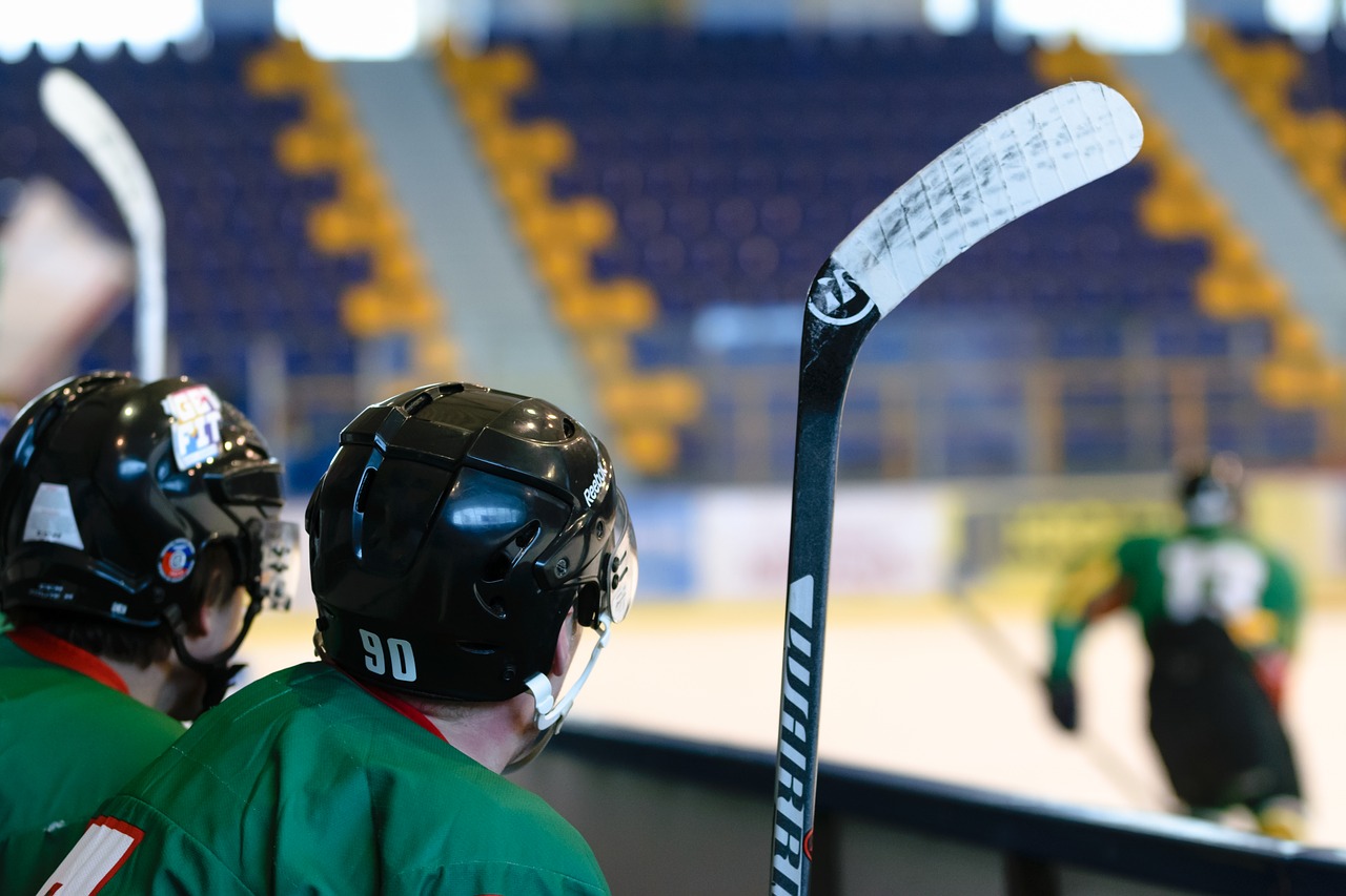 Eishockey Liga ab Saison 2020/21 live auf Puls 24